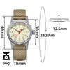 Wasserdichte ADDIESDIVE Uhr 200 Meter, 316L Edelstahlgehäuse und Edelstahlarmband